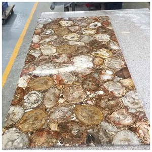 Petrified Wood Semi Precious Stone Slabs Petrified Wood Semi Precious Stone Slabs