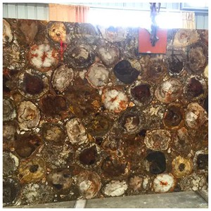 Petrified Wood Gemstone Slab Petrified Wood Gemstone Slab